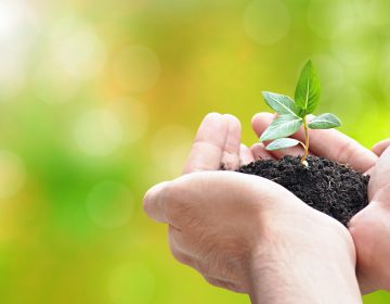 Hand holding sprout with soil, environment conservation concept - border design with copy space