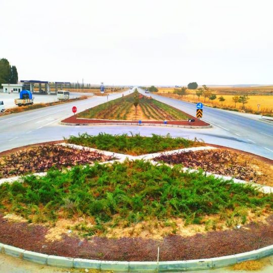 95794509_3306956429338684_7078920820449345536_n